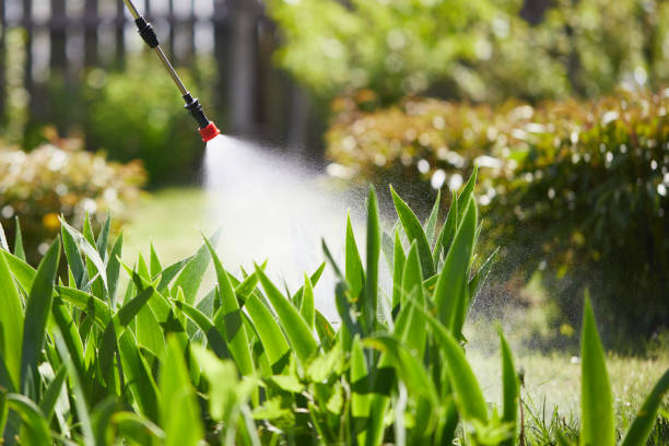 24/7 Emergency Mosquito Control experts in White City, UT