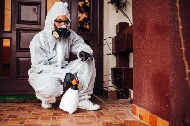 Reliable Mosquito Control contractor in White City, UT by Show Me Pest Control